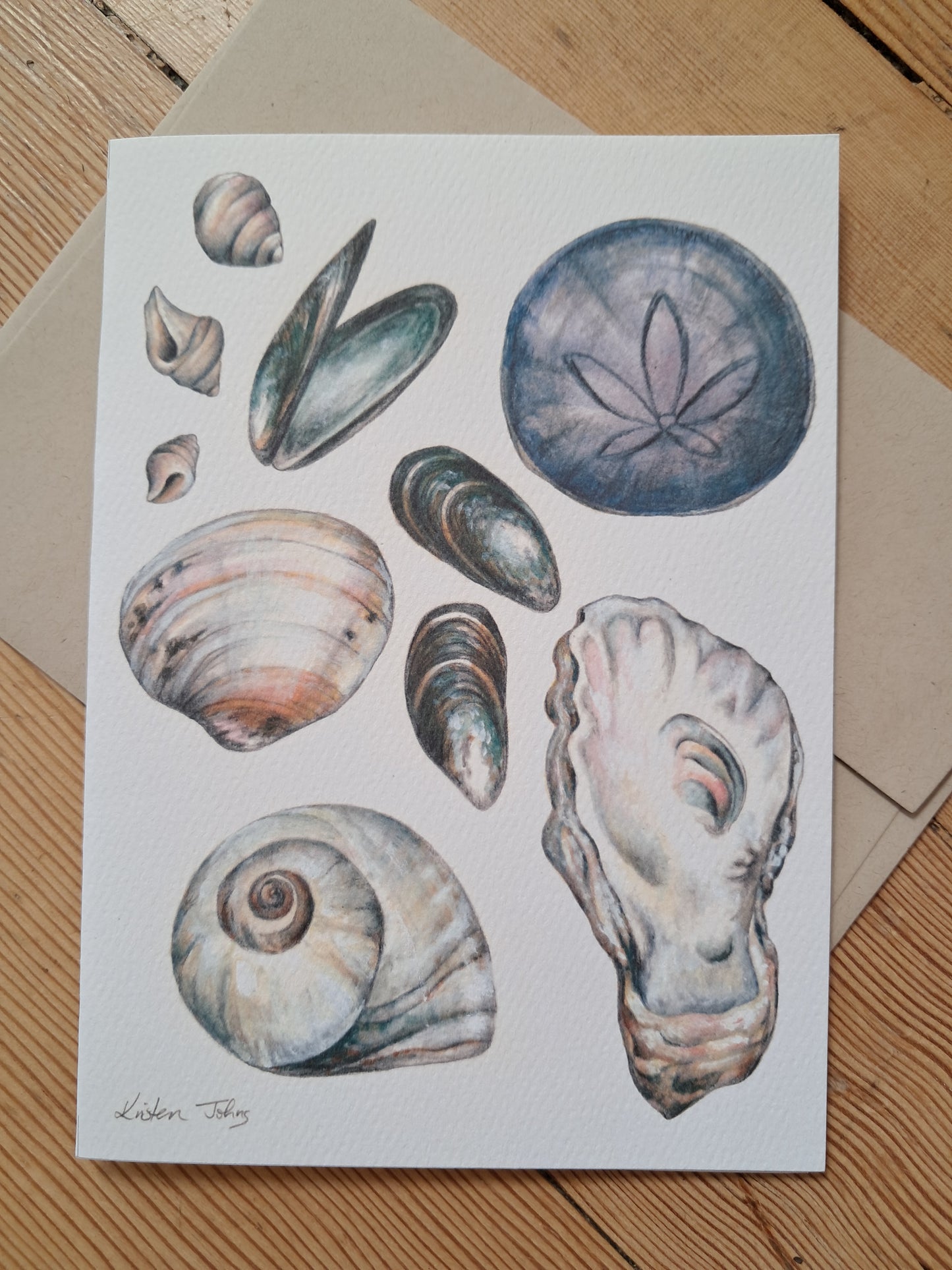 Shells found on the shores of BC - Greeting Card