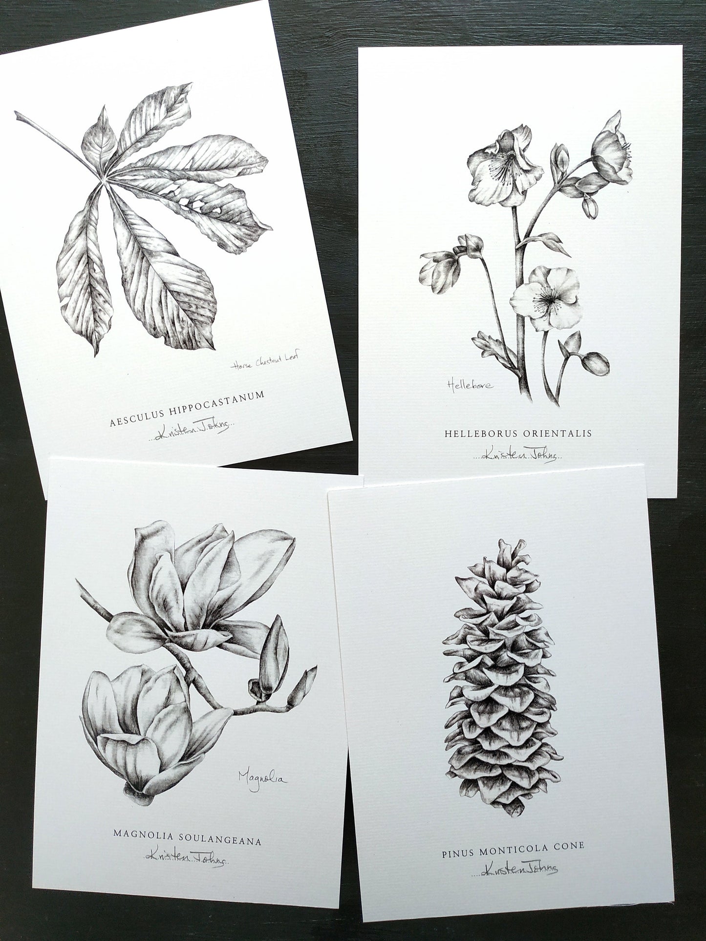 Set of 4, Botanical Art Prints - choose from 14 plants