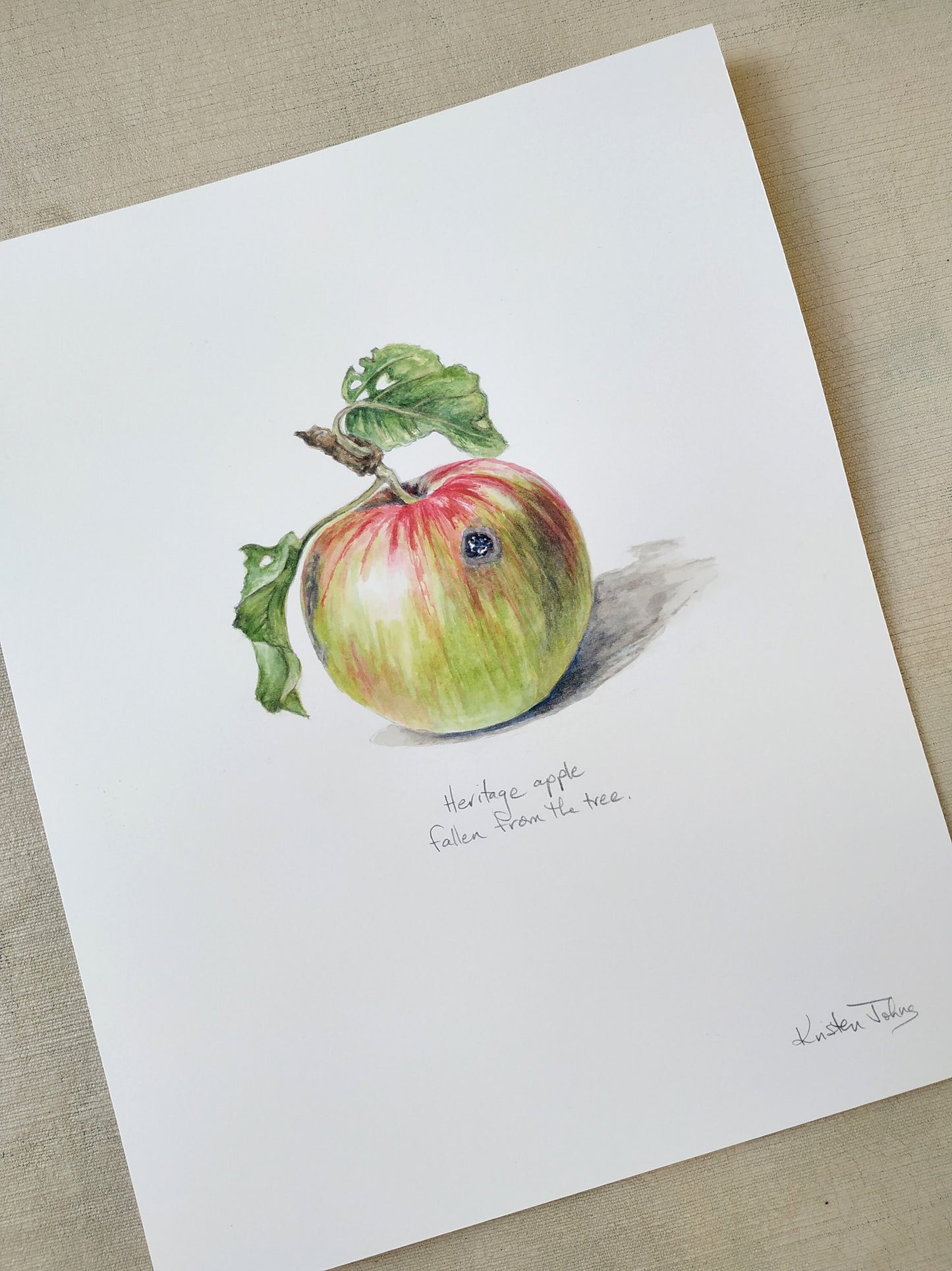 Heritage Apple - original painting, 8x10 inches