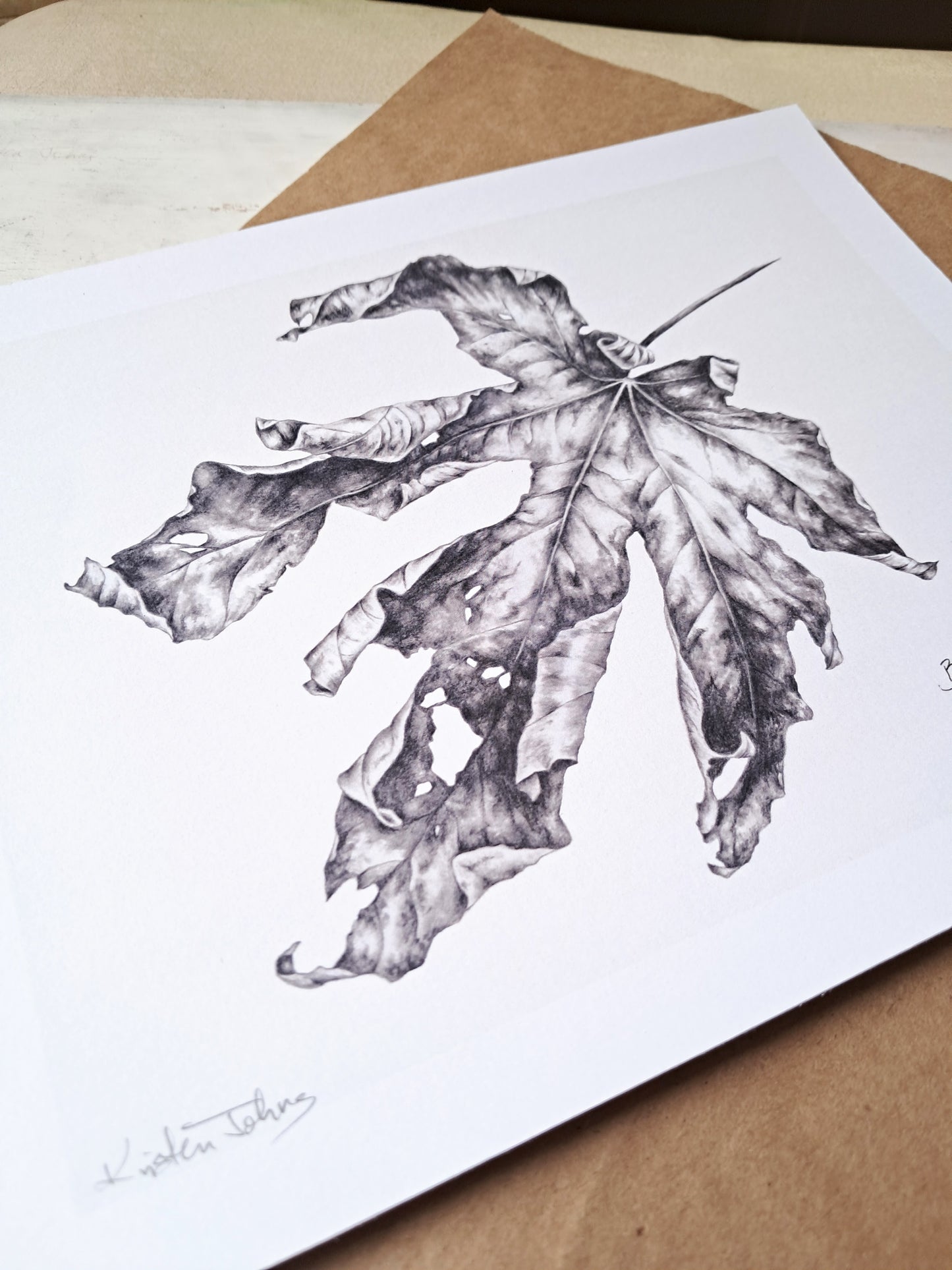 Maple leaf - Art Print