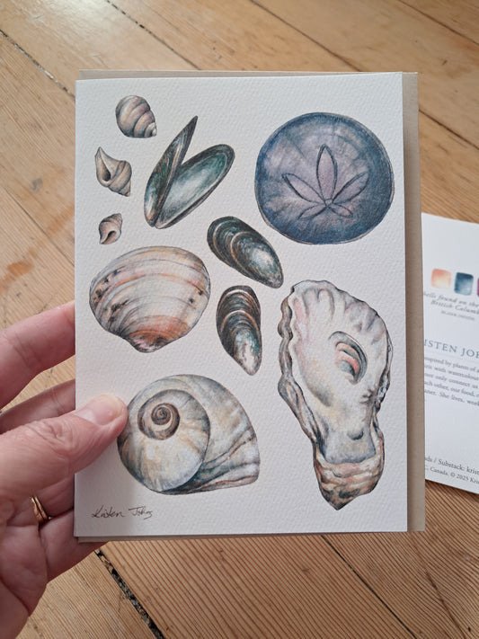 Shells found on the shores of BC - Greeting Card