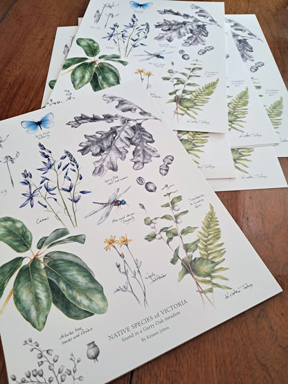 Native Species of Victoria (Garry Oak Meadow) - Art Print