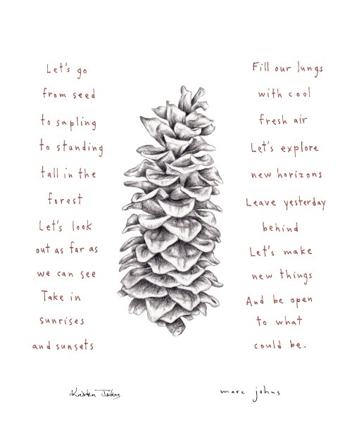 pinecone - Art Print