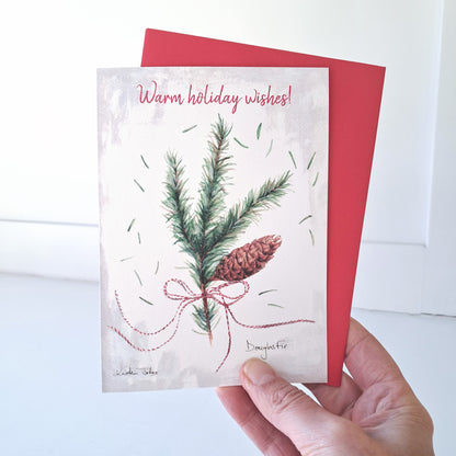 A sprig of Douglas Fir - Holiday Greeting Card