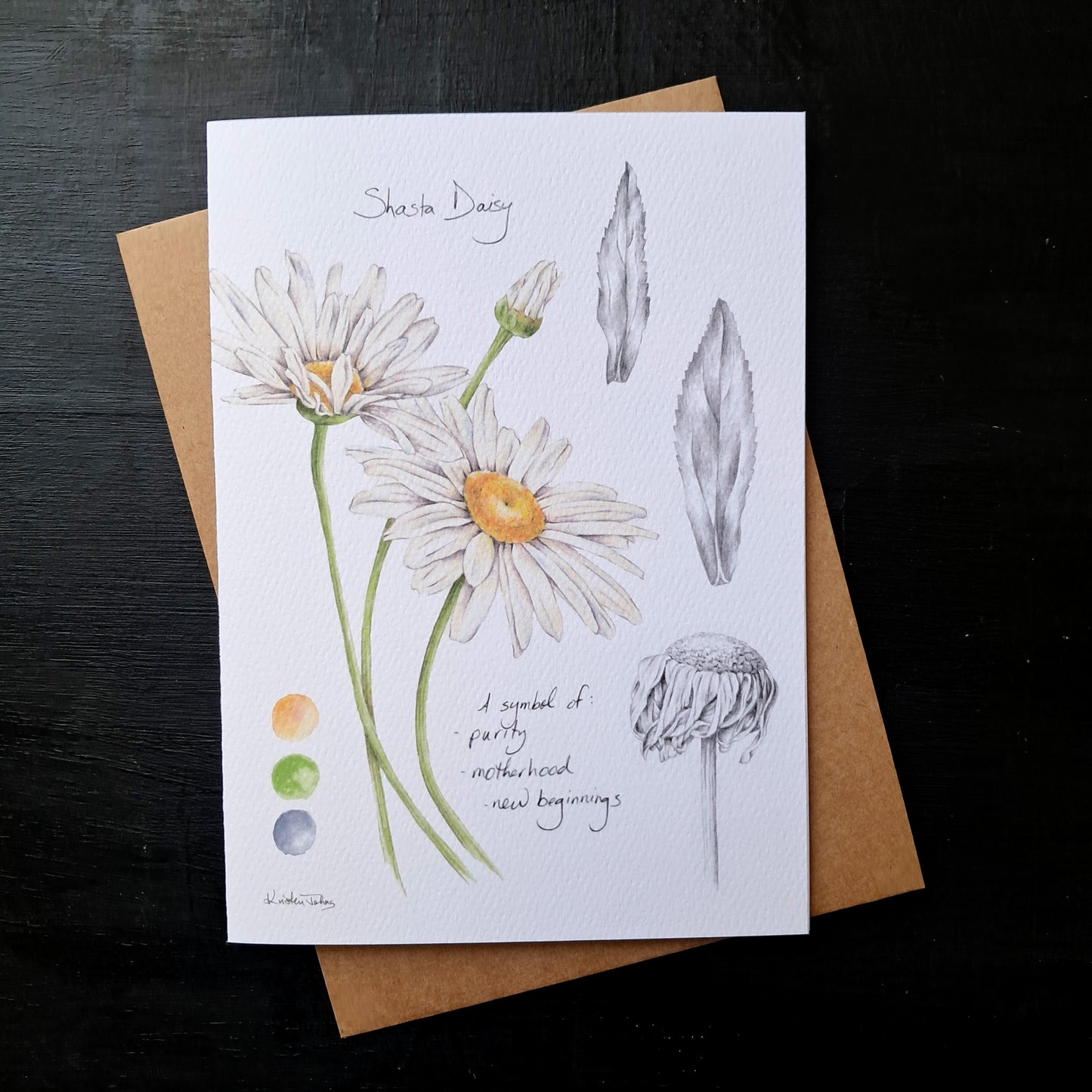 Daisy botanicals - Greeting Card