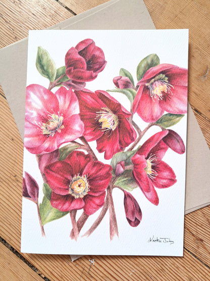 Hellebore Flowers - Greeting Card