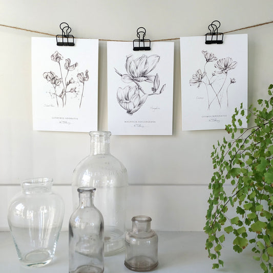 Set of 3 Flower Botanical Art Prints