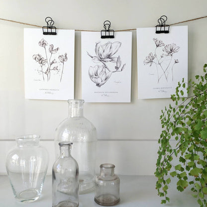 Sweet Peas - Botanical Art Print