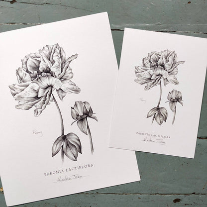 Set of 3 Flower Botanical Art Prints