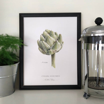 Artichoke - Botanical Art Print