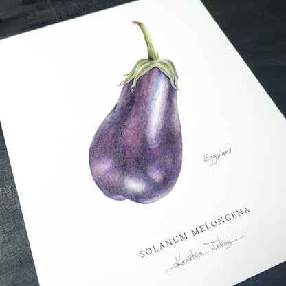 Eggplant - Botanical Art print