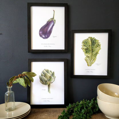 Set of 3 Vegetable Botanical Art Prints