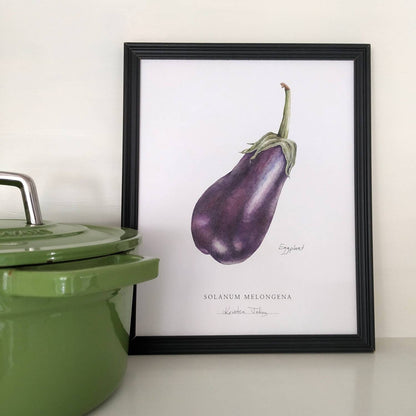 Eggplant - Botanical Art print