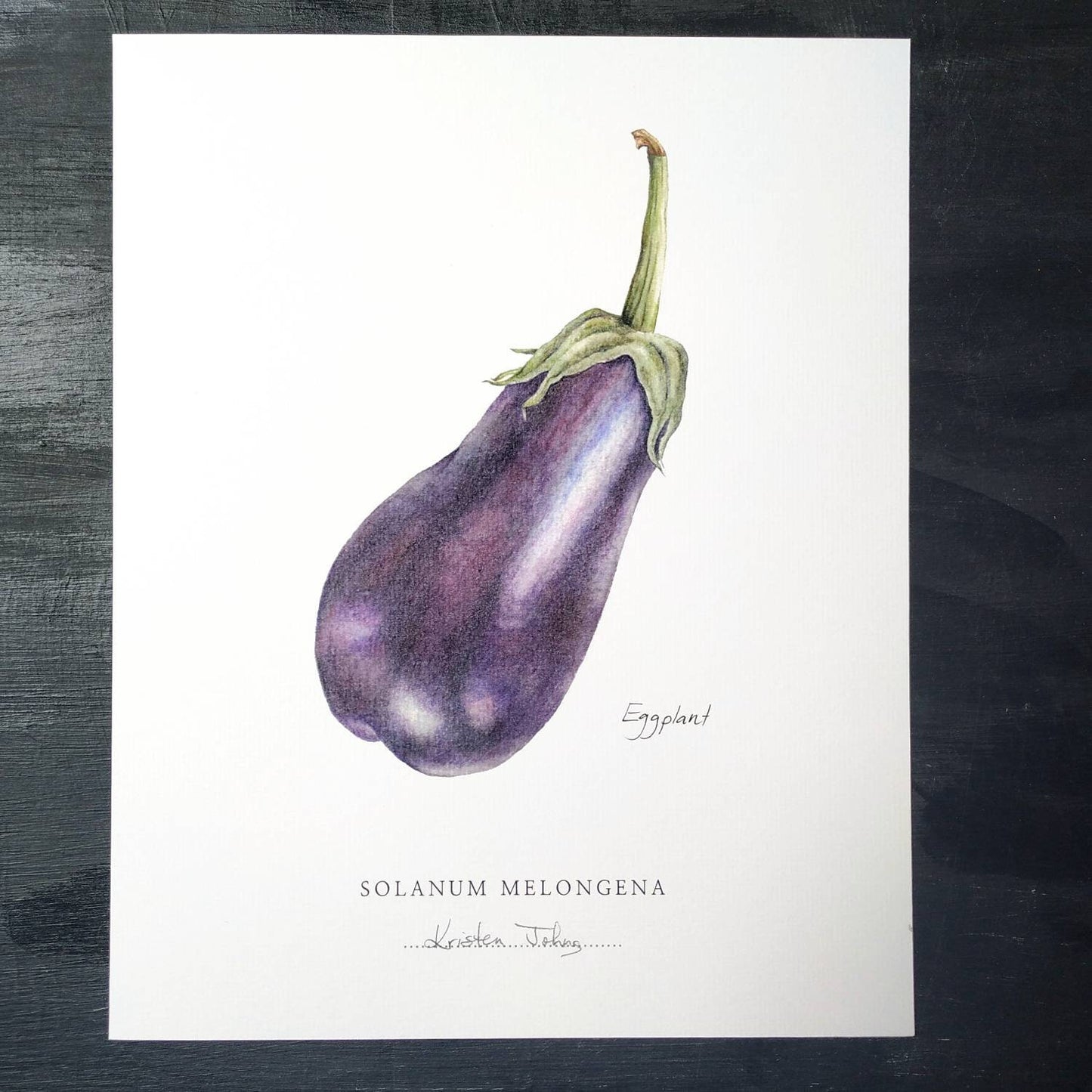 Eggplant - Botanical Art print