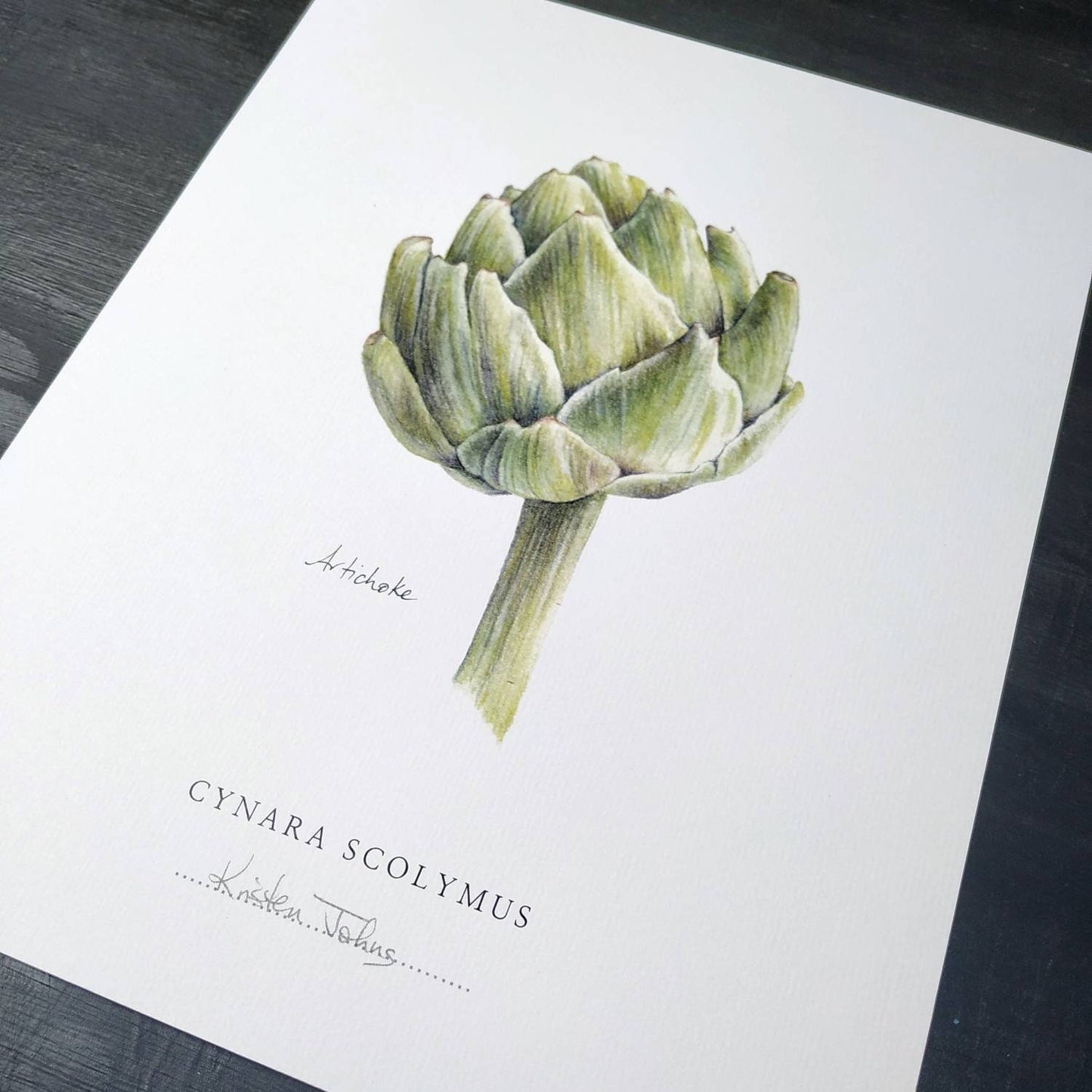 Artichoke - Botanical Art Print