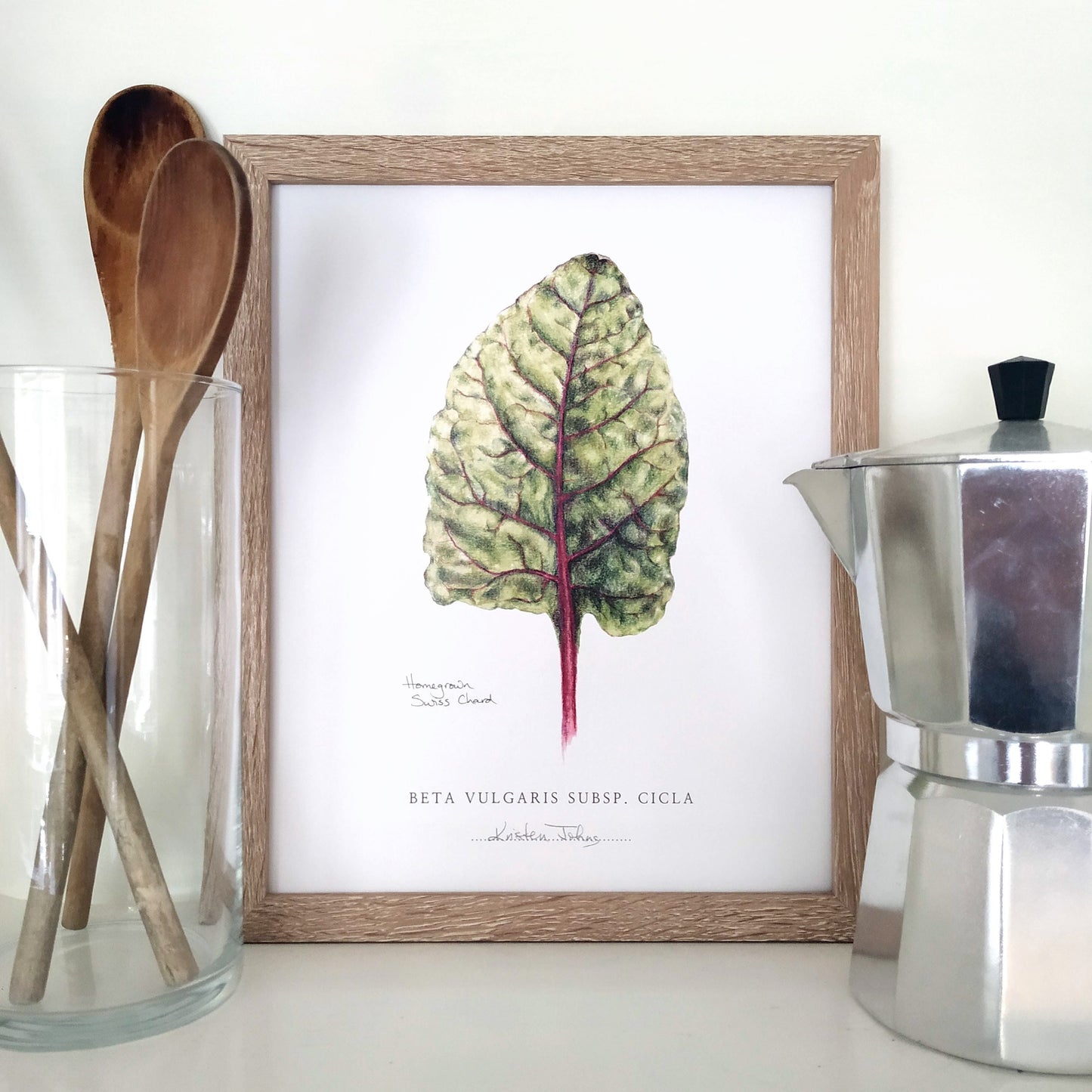 Swiss Chard Botanical Art print, by Kristen Johns, 8x10 inches, kitchen art for the plant loving home