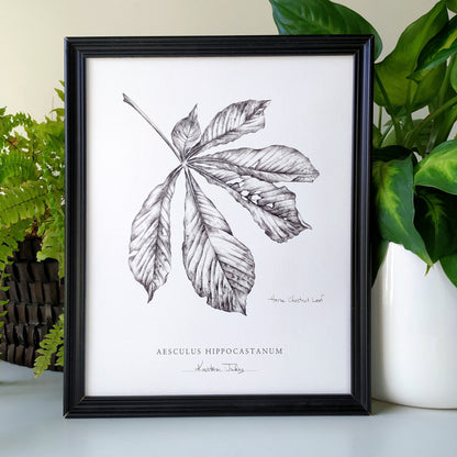 Chestnut Leaf - Botanical Art Print