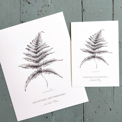 Fern - Botanical Art Print