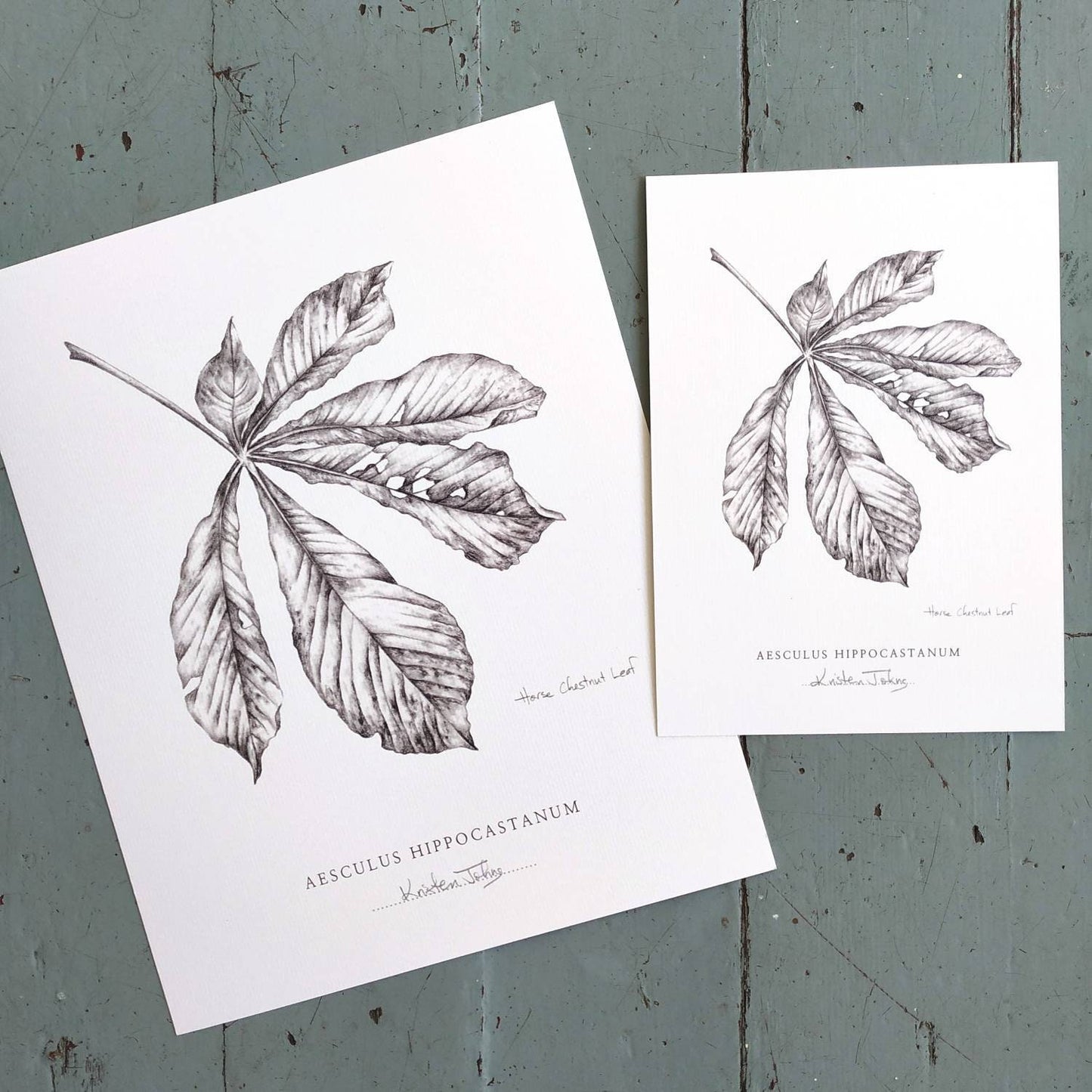 Chestnut Leaf - Botanical Art Print