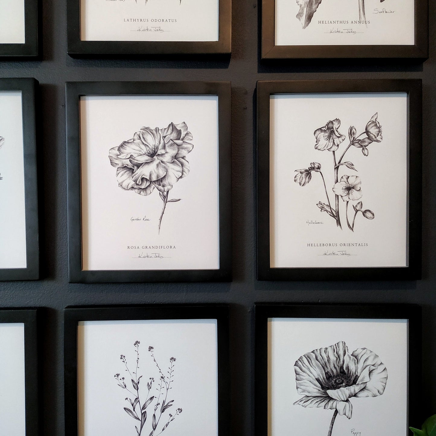 Set of 9 Flower Botanical Art Prints