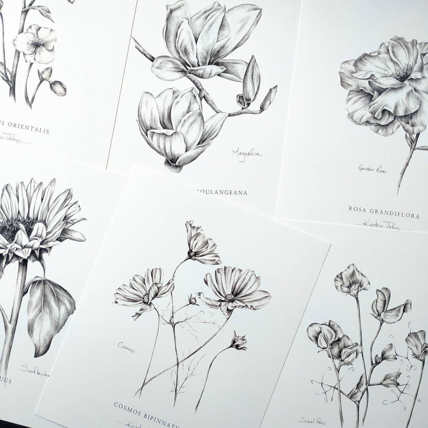 Set of 9 Flower Botanical Art Prints