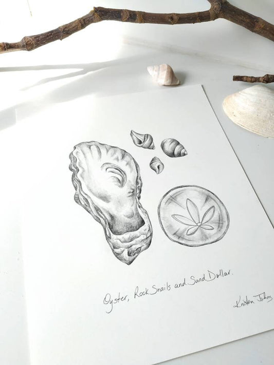 West Coast Sea Shells  (part 2) - an original graphite drawing by Kristen Johns, for the nature lover and beachcomber