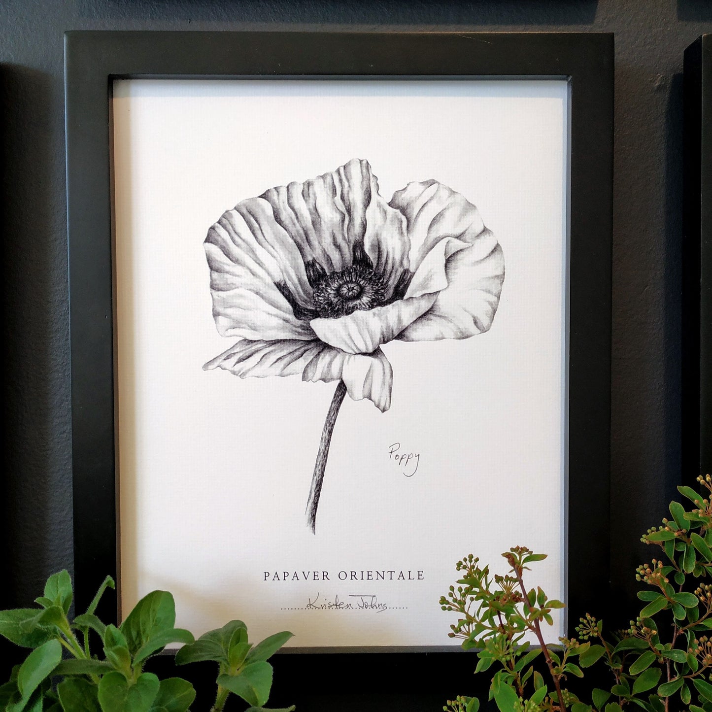 Set of 9 Flower Botanical Art Prints