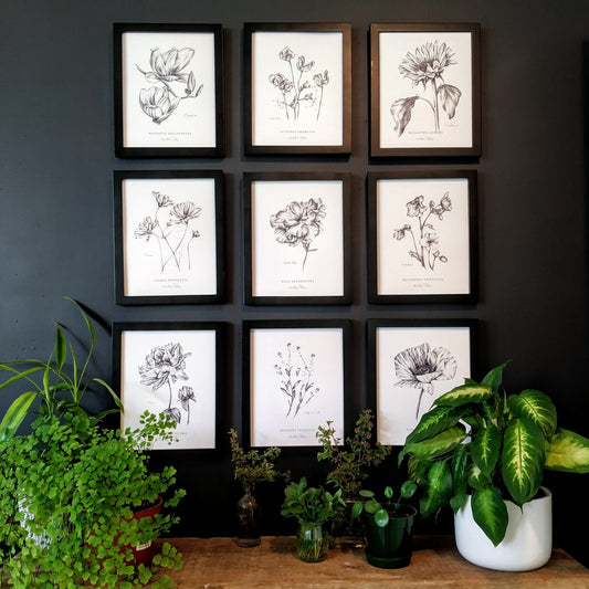 Set of 9 Flower Botanical Art Prints