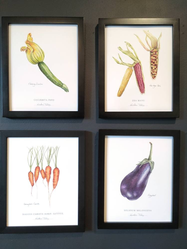 Set of 4 Vegetable Botanical Art Prints