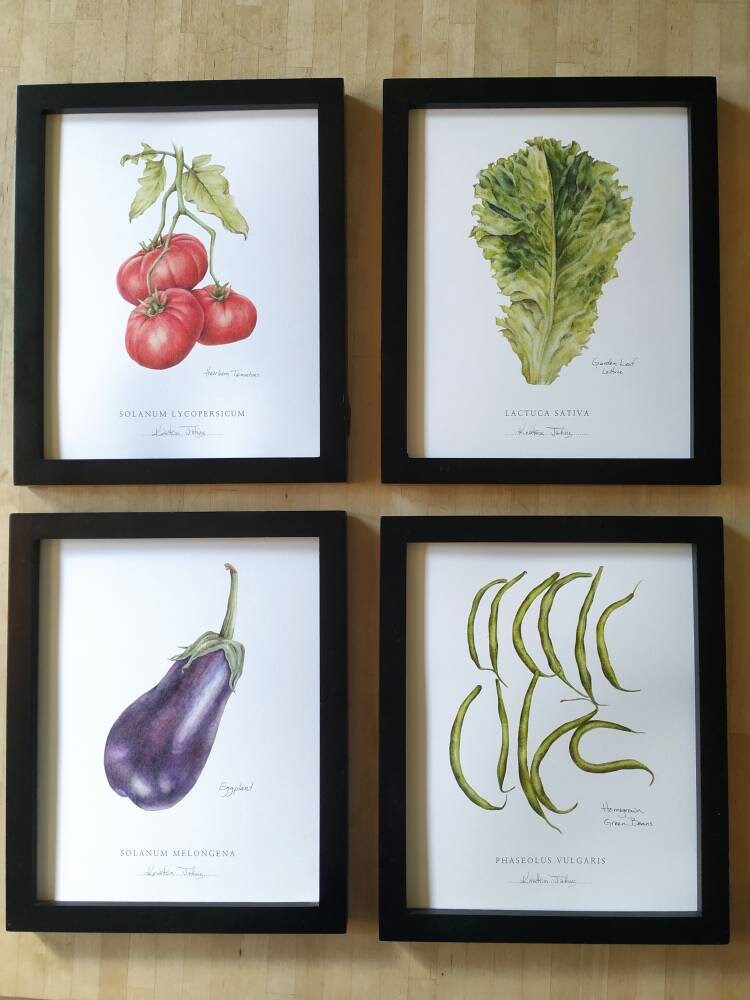 Set of 4 Vegetable Botanical Art Prints