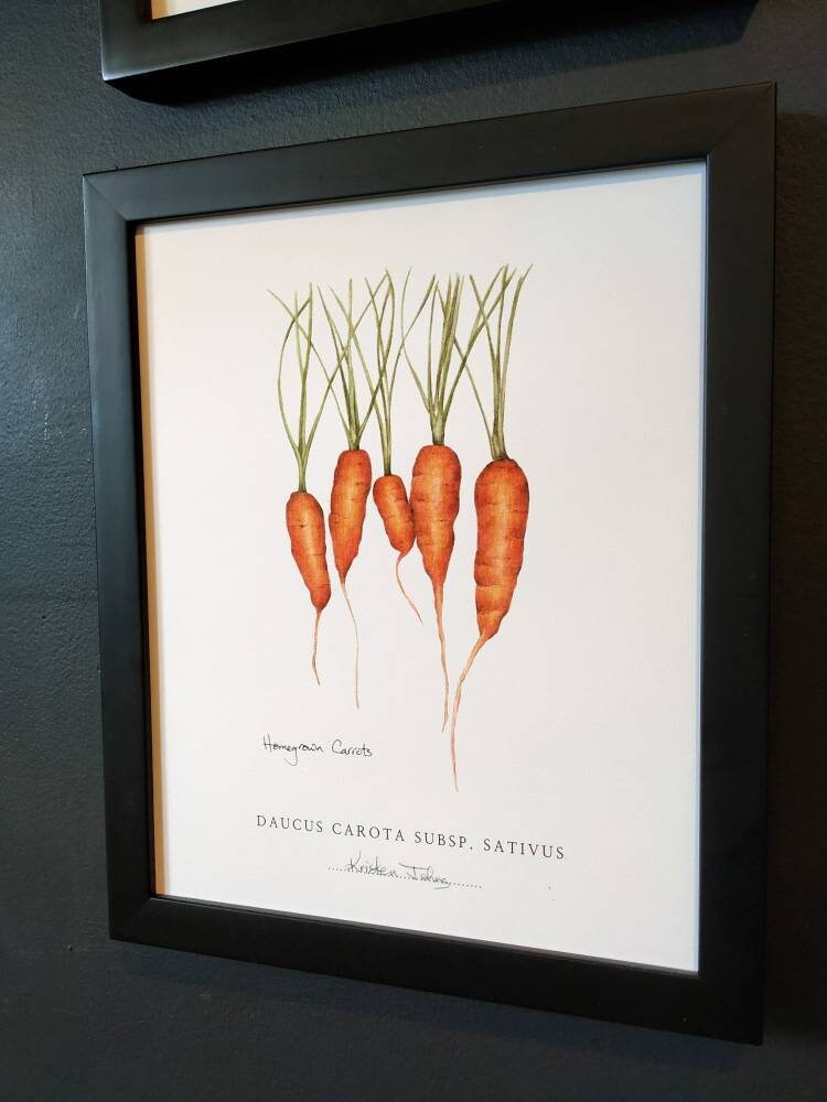 Set of 4 Vegetable Botanical Art Prints