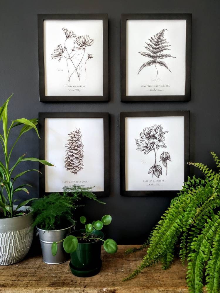 Set of 4, Botanical Art Prints - choose from 15 plants