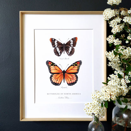 Butterflies of North America (admiral & monarch) - Art Print