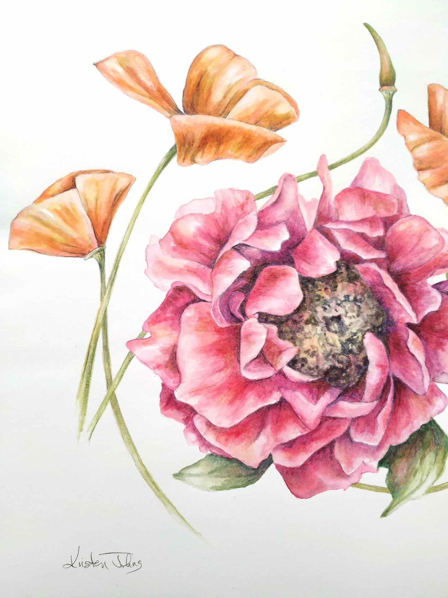 Peony & Poppies- an original painting, 11x11 inches