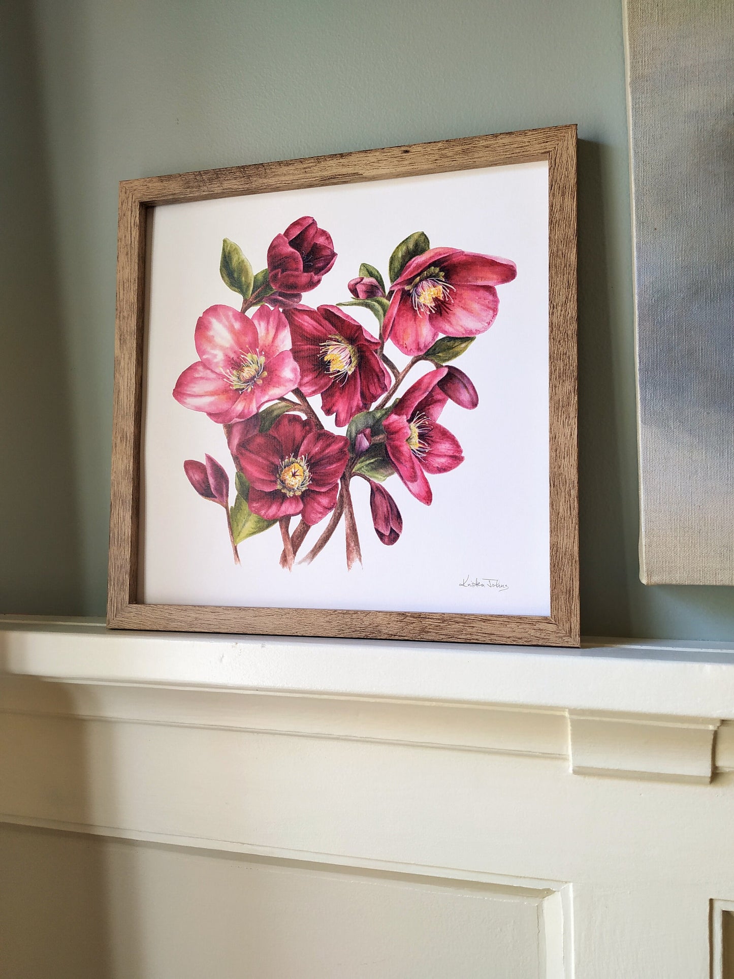 Hellebore Flowers, deep red - Art Print