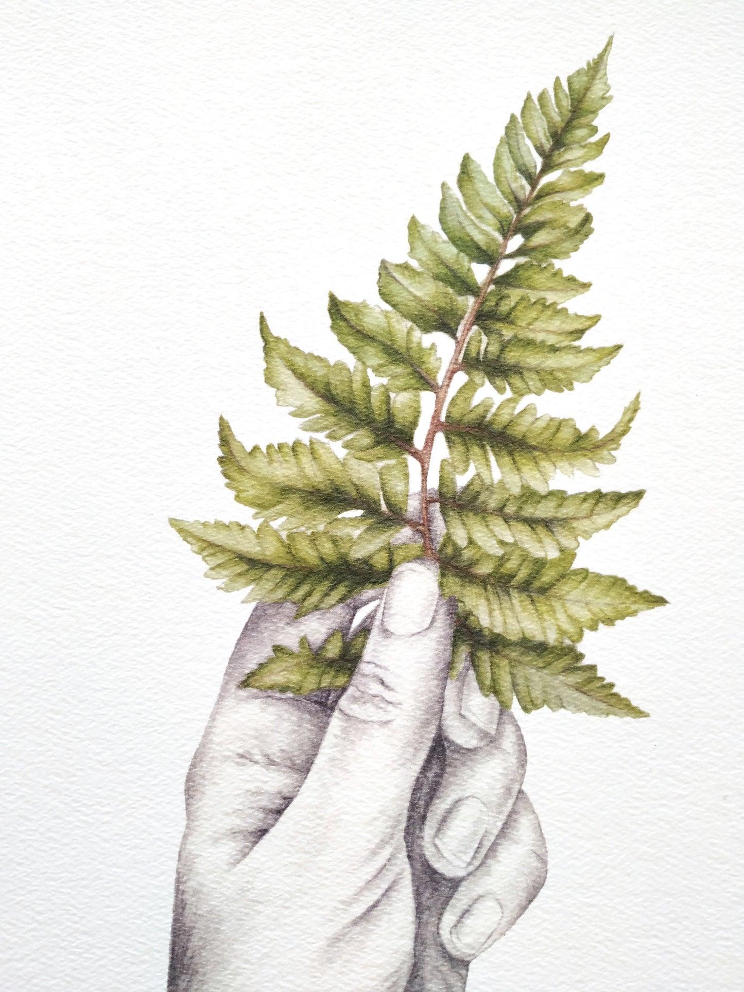 Nature Lover with Fern - Art Print