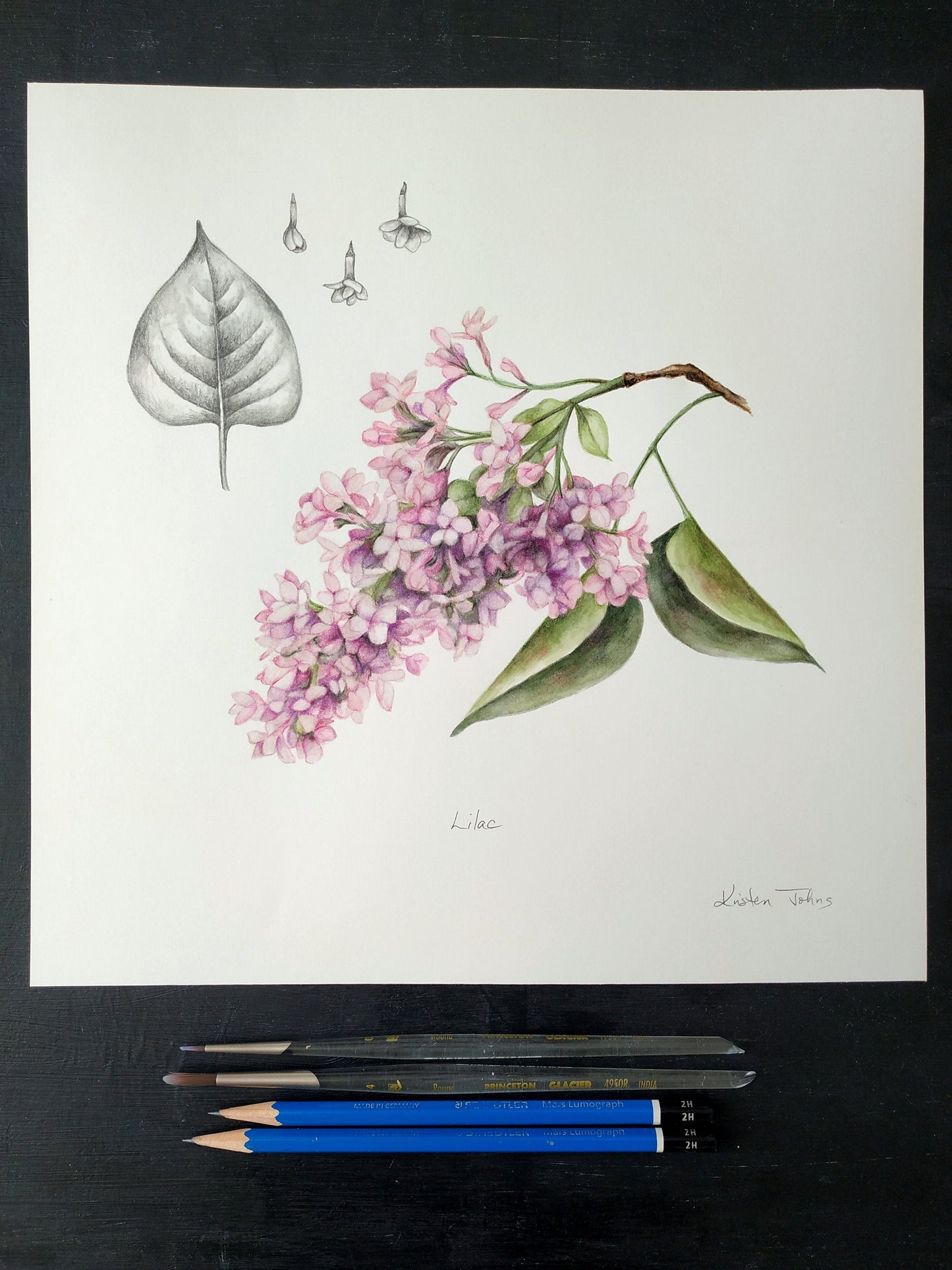 Lilac flower and leaf - original painting, 11x11 inches