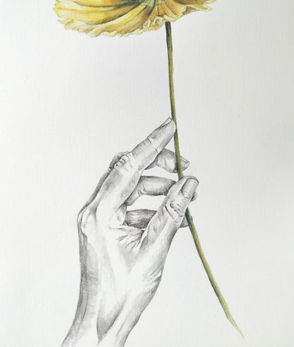 Lifting a yellow poppy - original painting, 9x12inches