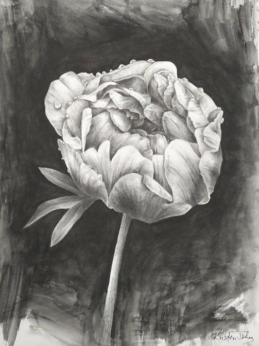 Peony, an original drawing by artist Kristen Johns, 9x12 inch, graphite on paper