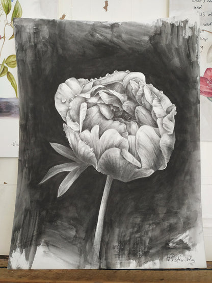 Peony, an original drawing by artist Kristen Johns, 9x12 inch, graphite on paper, for the flower lover & art collector