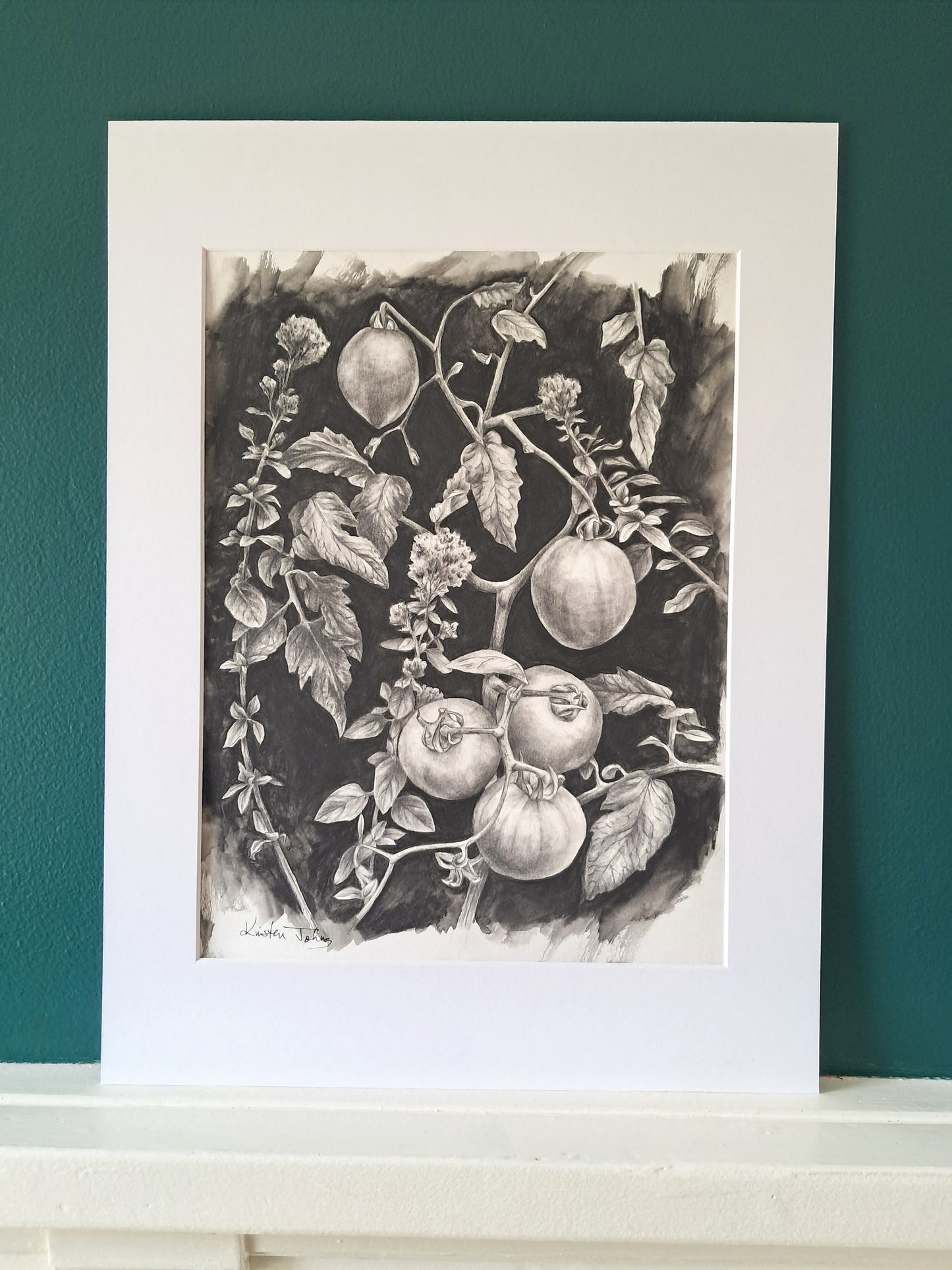 Tomatoes and Oregano, an original drawing by artist Kristen Johns, 9x12 inch, graphite on paper, for the garden lover & art collector