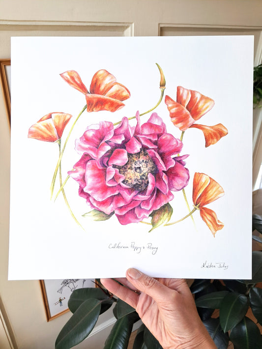 California poppy and peony - Art Print