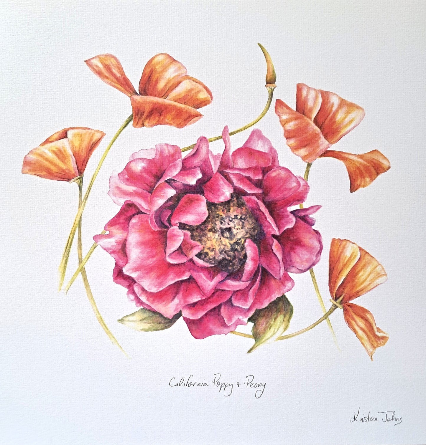California poppy and peony - Art Print