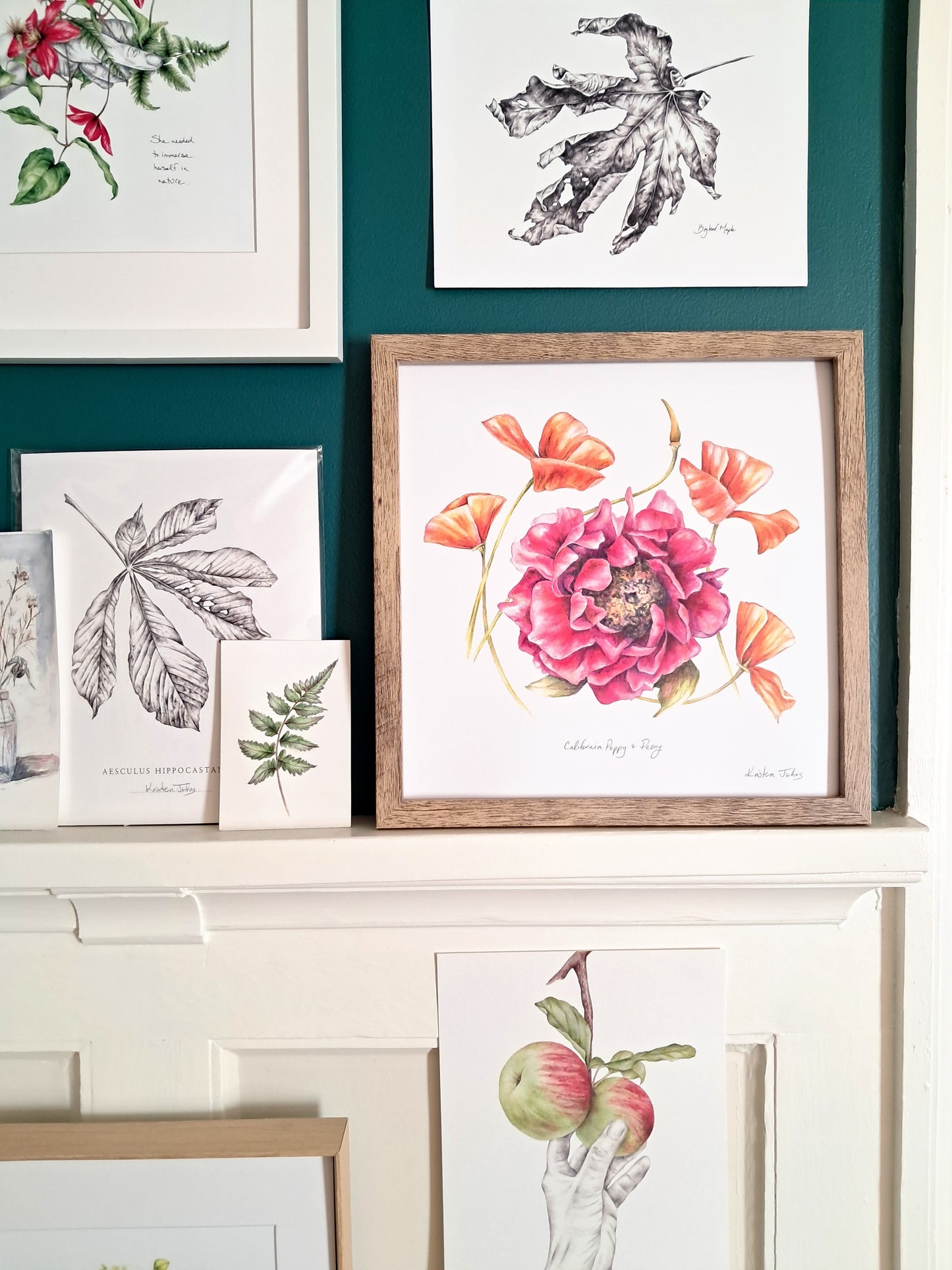 California poppy and peony - Art Print