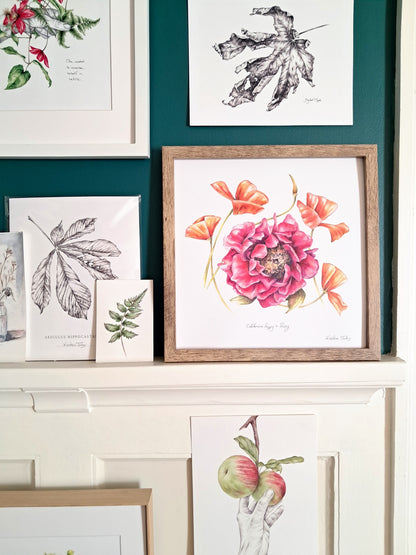 California poppy and peony - Art Print