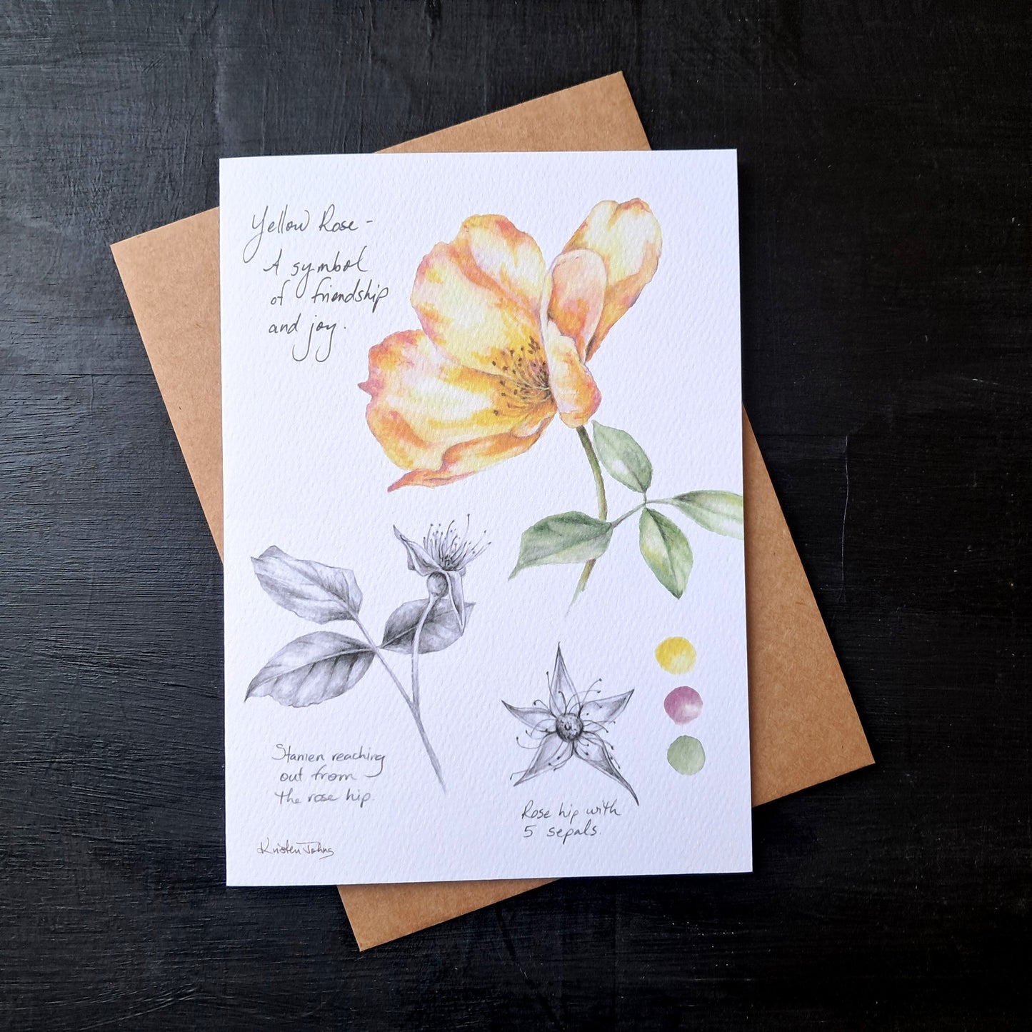 Rose botanicals - Greeting Card