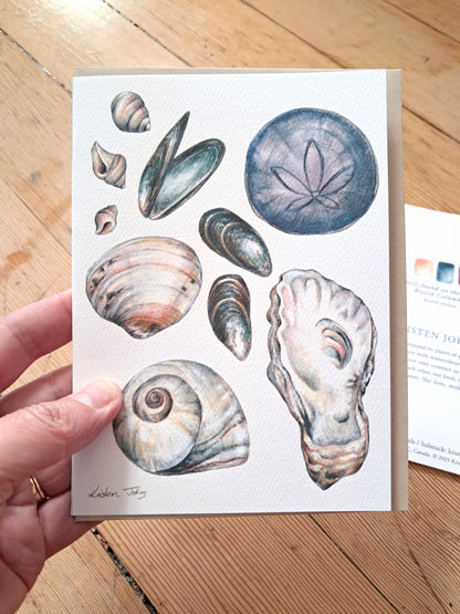 Shells found on the shores of BC - Greeting Card
