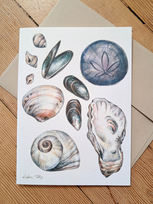 Shells found on the shores of BC - Greeting Card