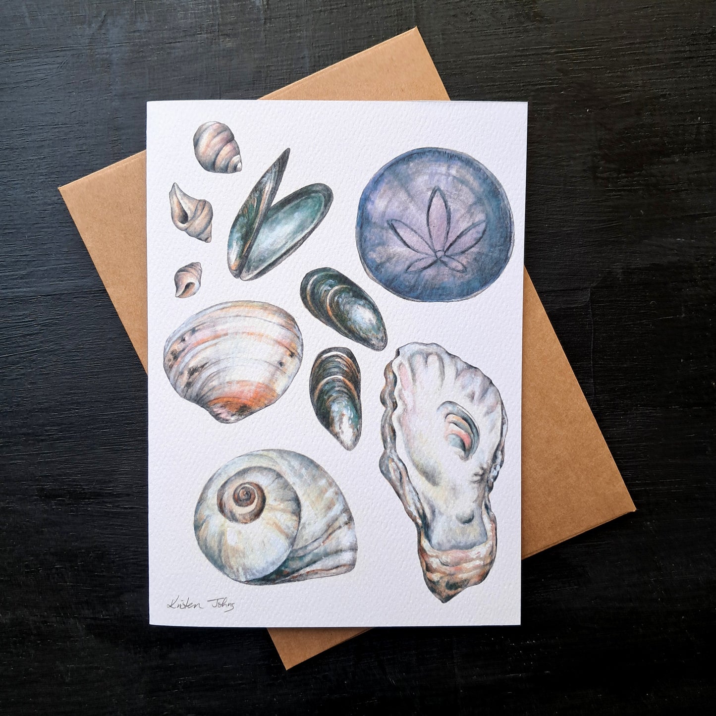 Shells found on the shores of BC - Greeting Card