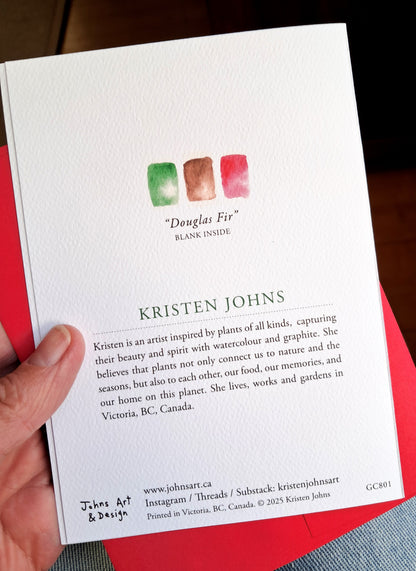 A sprig of Douglas Fir - Holiday Greeting Card